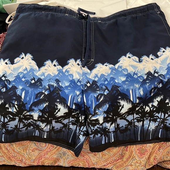 Mens XL swim trunks - Picture 1 of 4